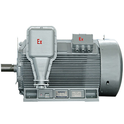 YBX3系列高压隔爆型三相异步电动机